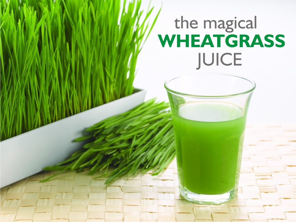 The Magical Wheatgrass Juice!